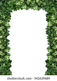 6,100 Vine arch Images, Stock Photos & Vectors | Shutterstock