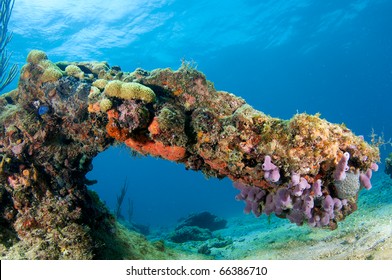 Arch Formed By Coral On Reef In South East Florida.