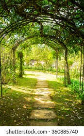 Arch green soft natural path walkway 