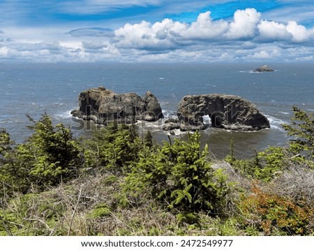 Arch Rock, a unique sea stack in the Samuel H. Boardman State Scenic Corridor near Brookings in southern Oregon, United States
