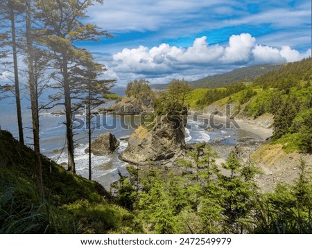 Arch Rock, a unique sea stack in the Samuel H. Boardman State Scenic Corridor near Brookings in southern Oregon, United States