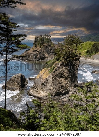 Arch Rock, a unique sea stack in the Samuel H. Boardman State Scenic Corridor near Brookings in southern Oregon, United States
