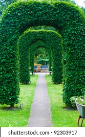 Arch Of Topiary