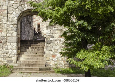 Arch with a tree in an old brick wall inside the Buda royal palace. Hungary, Budapest - Shutterstock ID 688636159