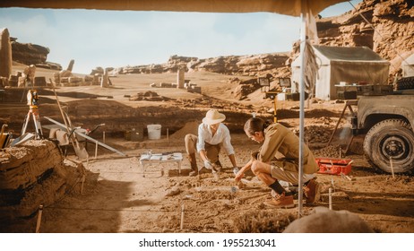 Archaeological Digging Site: Two Great Archeologists Work on Excavation Site, Carefully Cleaning with Brushes and Tools Newly Discovered Ancient Civilization Cultural Artifacts, Fossil Remains