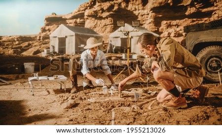 Archaeological Digging Site: Two Great Paleontologists Discovered Fossil Remains of Prehistoric Dinosaur, Clean it with Brushes. Archeologists Work on Excavation Site, Discover New Species Bones