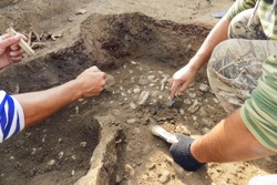 Archaeological Excavations.  Archaeologist With Tools Conducts Research On Human Burial, Skeleton, Skull.