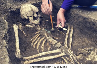 Archaeological excavations   archaeologist and tools conducts research human burial  skeleton  skull 