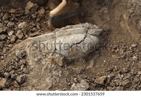 Archaeological excavations, archaeologist work, dig up an ancient clay artifact with special tool, brush in soil. Focus on artifact