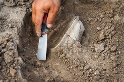 Archaeological Excavations, Archaeologists Work, Dig Up An Ancient Clay Artifact With Special Tools In Soil