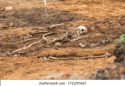 Archaeological excavations  Human remains (bones skeleton  skulls) in the ground tomb  Real digger process  Outdoors  copy space  close up 