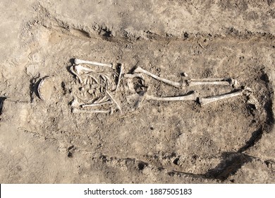 Archaeological excavations. Human remains, bones of skeleton and skulls in the ground tomb.