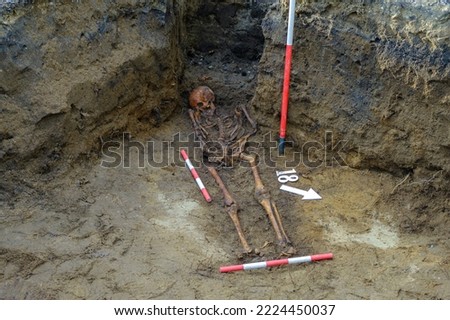 Archaeological excavations. Human remains, bones of skeletons and skulls in the ground tomb. Zilaiskalns, Valmiera.