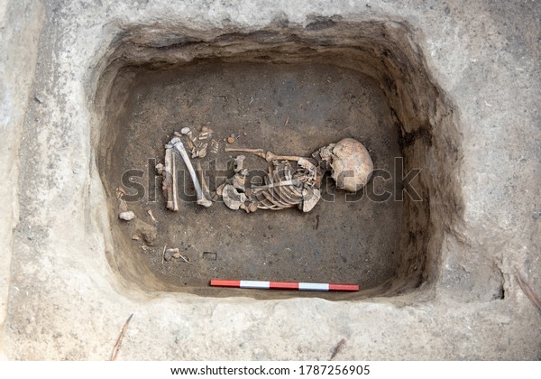 Archaeological excavations.\
Human remains, bones of skeleton and skulls of 6 year old child in\
the ground tomb.
