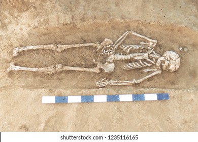 Archaeological excavations man and finds (bones of a skeleton in a human burial),  working tool, ruler, a detail of ancient research, prehistory. 