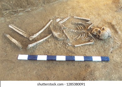 Archaeological Excavations Man Finds Bones Skeleton Stock Photo ...