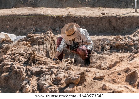 Archaeological excavations. Young archaeologist excavating part of human skeleton and skull from the ground. 
