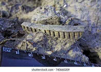 Archaeological Find Piece Medieval Earthenware Sticks Stock Photo