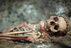 Archaeological Find; Skeleton Of Human Being