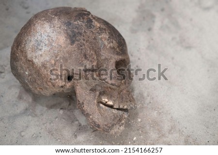 Archaeological site, a human skull was found in the ground. Historical forensics, ancient grave with human remains. Focus on the side of the lower jaw