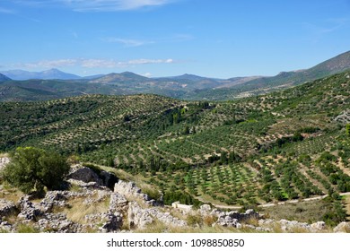 The Archaeological Sites Of Mycenae And Tiryns, Located In The Regional Unit Of Argolis, Greece 