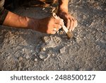 An archaeologist cleans a found artifact in the form of bones with a brush. Historical reconstruction of archaeological research of the 19th century. Close-up of hands