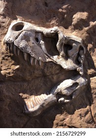 Dinosaur excavation Images, Stock Photos & Vectors | Shutterstock