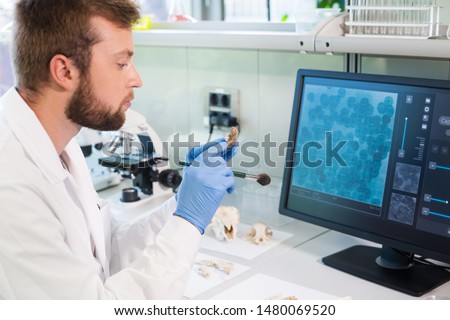 Archaeologist working in natural research lab. Laboratory assistant cleaning animal bones. Archaeology, zoology, paleontology and science concept.