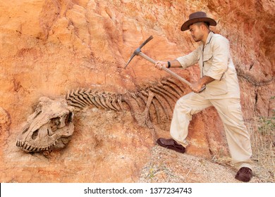 Archaeologist Works On An Archaeological Site With Dinosaur Skeleton In Wall Stone Fossil Tyrannosaurus Excavations.