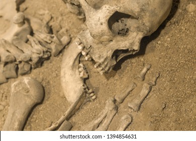 Archaeologists excavated the skeleton of a man of bones and skull with an open mouth in the ground. Prehistoric, Caveman