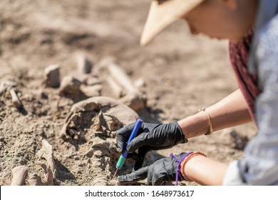 Archaeology - excavating ancient human remains with digging tool kit set at archaeological site.  - Shutterstock ID 1648973617