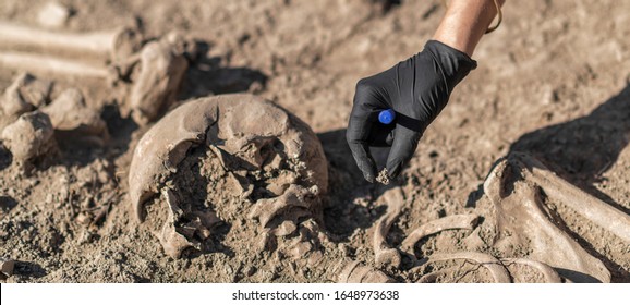 Archaeology - excavating ancient human remains with digging tool kit set at archaeological site.  - Shutterstock ID 1648973638