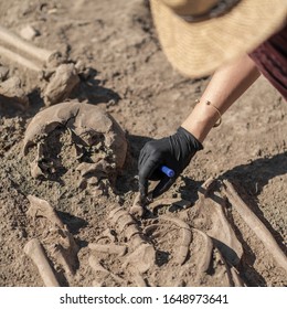 Archaeology - excavating ancient human remains with digging tool kit set at archaeological site.  - Shutterstock ID 1648973641