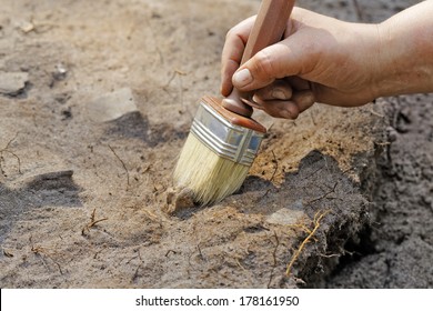 Archaeology: a thin layer stripping.One of the stages of excavation - Shutterstock ID 178161950