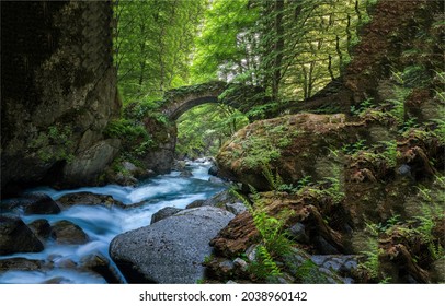 Arched Bridge In Dark Forest Over Wilderness River