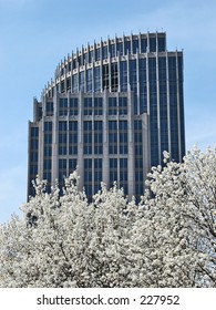 Arched Building