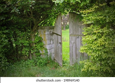 arched garden door, framed with beech leaves