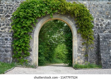 Arched Ivy Arch In An Old Wall