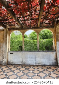 arched windows with a hedge view