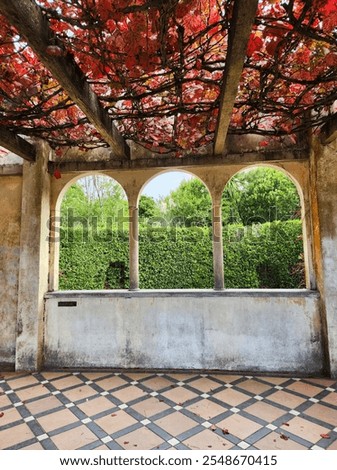 arched windows with a hedge view