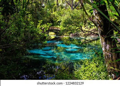 An arched wooden footbridge over the blue and emerald pools set amidst quiet and serene rich and lush tropical vegetation. Juniper Springs Florida. USA