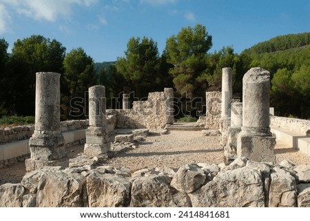 Archeological remains of the columns and walls of an ancient synagogue in the Biriya Forest in the Galilee in northern Israel. 