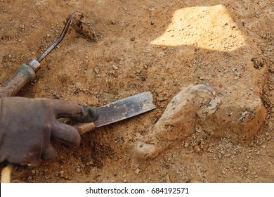 Archeological tools, Archeologist working on site, close-up, hand and tool.