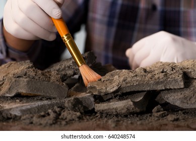 Archeologist working late night in office - Shutterstock ID 640248574