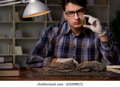 Archeologist Working Late Night In Office