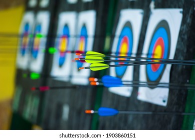 Archery. Arrows in archery target on archery range