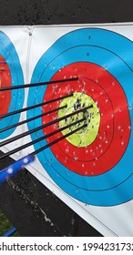 915 Archery Target Face Images, Stock Photos & Vectors | Shutterstock