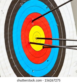 Archery Target With Arrow In The Bullseye