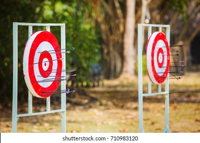 Archery Target With Arrows Archer Sport Game