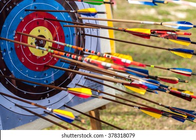 Archery target with arrows on it